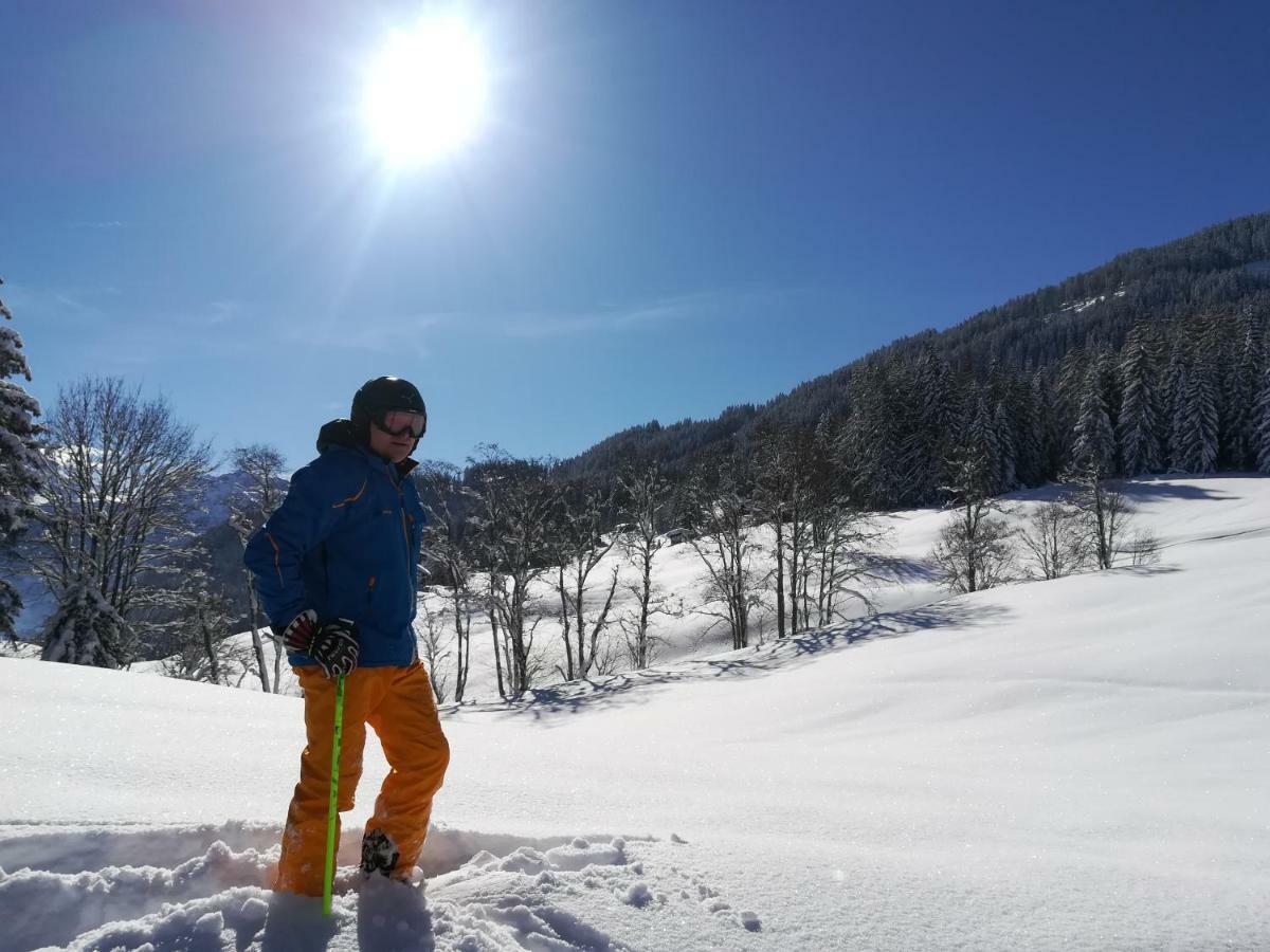 Apart Gerlossteinblick Aschau Im Zillertal Экстерьер фото